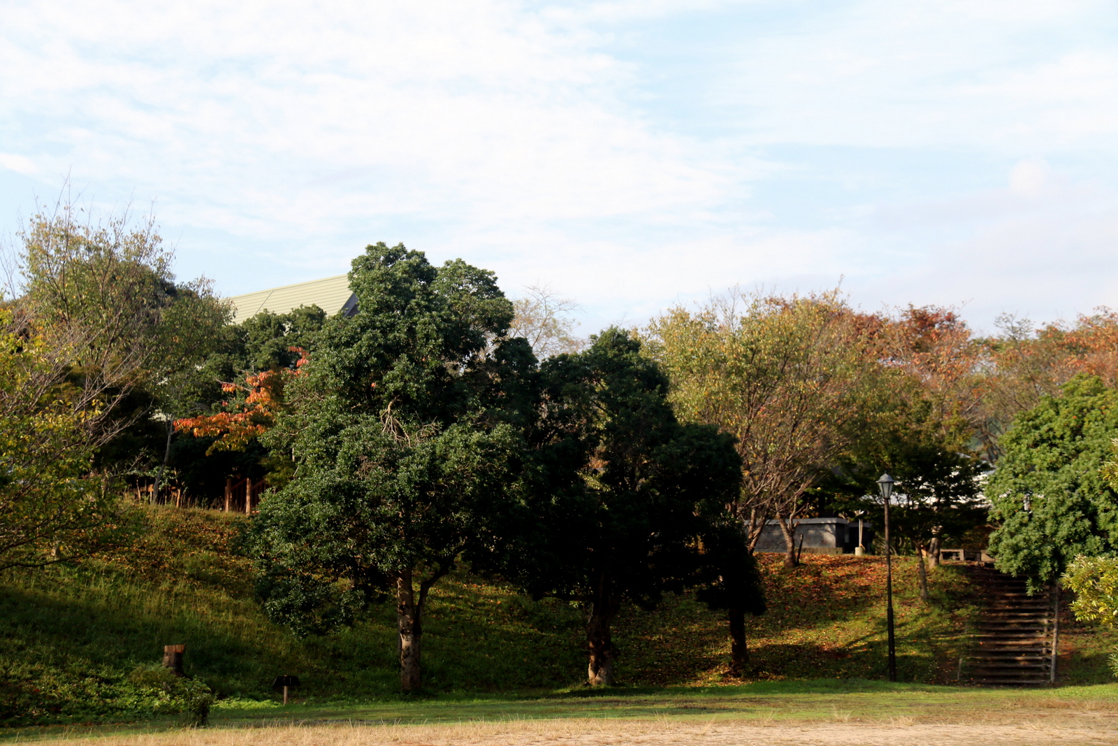 宍道ふるさと森林公園