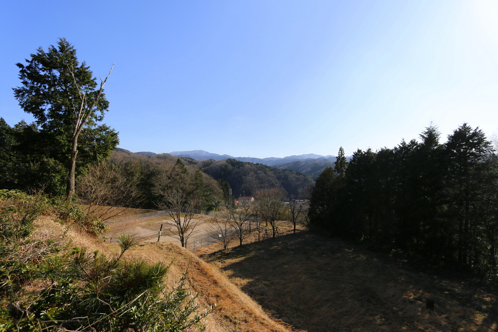吉田グリーンシャワーの森