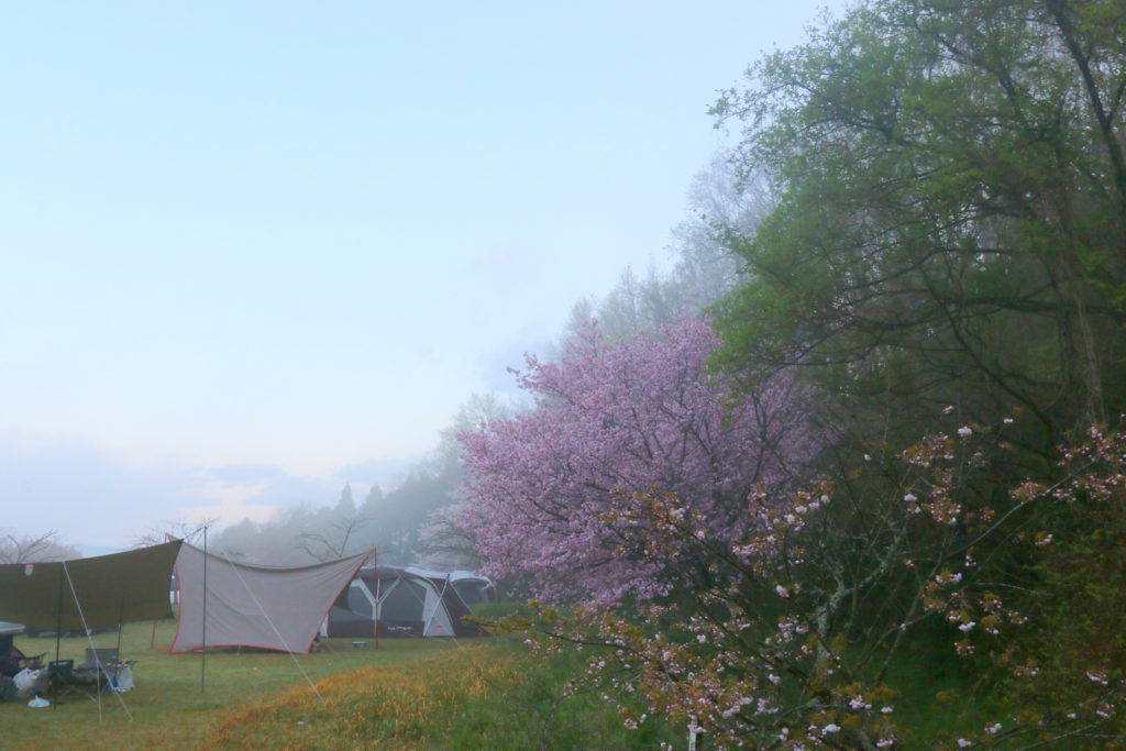 春の木次の朝もや