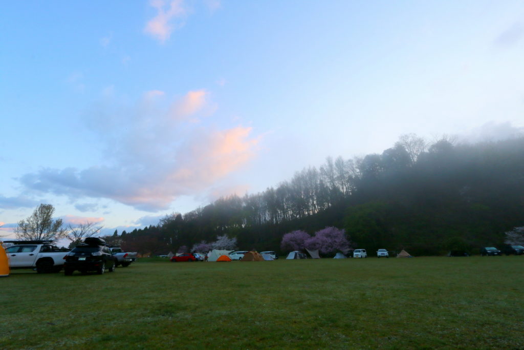 春の木次の朝もや