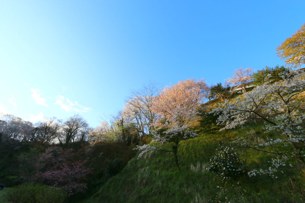 春の木次の夜明け
